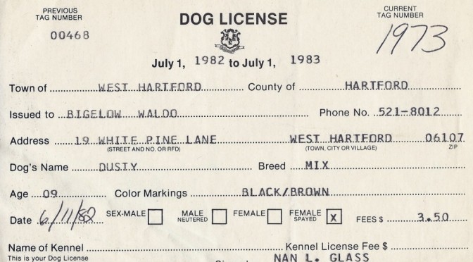 Dusty’s Dog License